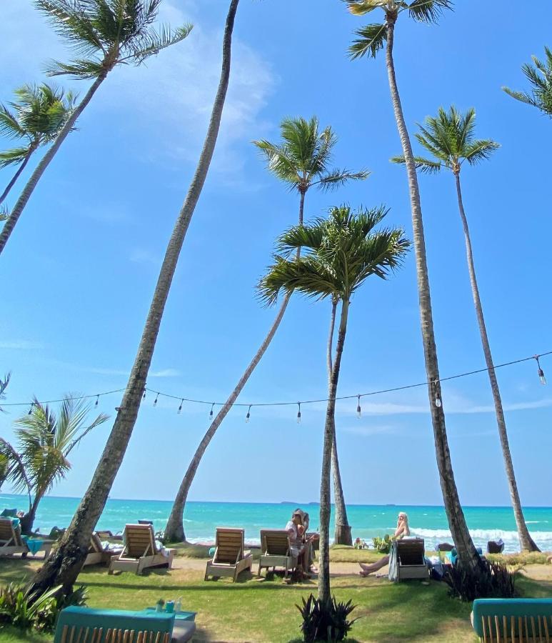 El Mosquito Boutique Hotel Playa Bonita Las Terrenas Kültér fotó