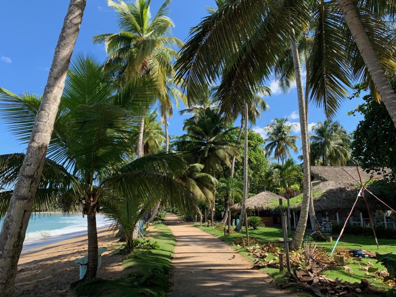 El Mosquito Boutique Hotel Playa Bonita Las Terrenas Kültér fotó